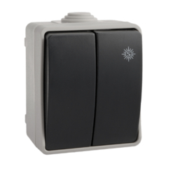 Doble conmutador estanco superficie Solera. 3313