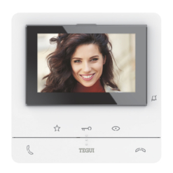 Monitor manos libres CLASSE 100 básico a 2 hilos 374511