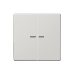 Tecla doble interruptor o conmutador con visor en gris claro Jung LS 990