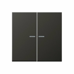 Tecla doble interruptor o conmutador con visor en antracita Jung LS 990. Ref: AL2995KO5AN