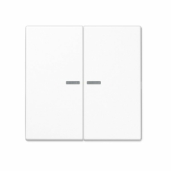 Tecla doble interruptor o conmutador con visor en blanco alpino Jung LS 990. Ref: LS995KO5WW