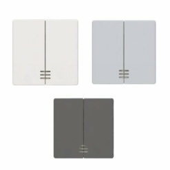 Tecla doble interruptor visor Siemens Delta Line y Miro