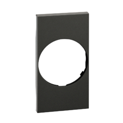 Tecla enchufe schuko dark Bticino Living Now KG04