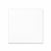 Tecla interruptor en blanco alpino Jung LS 990. Ref: LS990WW