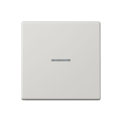 Tecla interruptor con visor en gris claro Jung LS 990