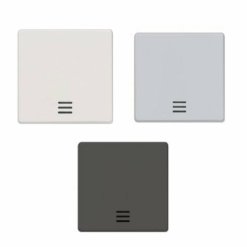 Tecla interruptor visor Siemens Delta Line y Miro