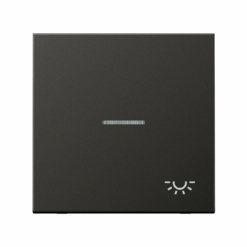 Tecla pulsador luz visor en antracita Jung LS 990. Ref: AL2990KO5LAN